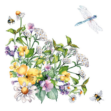 Wild medicinal plant, herbs, bee, insects watercolor illustration isolated on white background. Achillea millefolium, nettle, pulmonaria, celanine flower hand drawn. Design for package, postcard