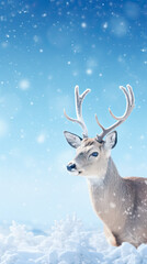 Winter fantastic postcard. Red deer in a fairy-tale snowy forest. Christmas image. Winter wonderland. Blue christmas greeting card with copy space. Vertical shot.