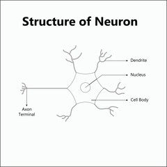 Obraz premium Molecular abstract structure background. Scientific vector illustration with molecule DNA. Medical, science and technology concept for banner template or header.