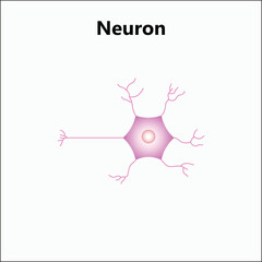 Molecular abstract structure background. Scientific vector illustration with molecule DNA. Medical, science and technology concept for banner template or header.