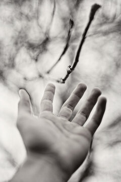 hand 