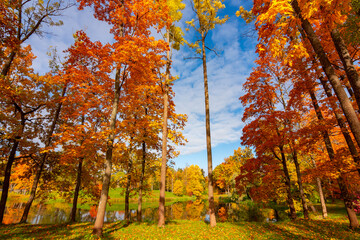 Alexander park in autumn, Pushkin, St. Petersburg, Russia