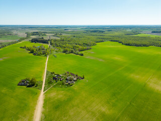 Aerial view of a beautiful agricultural field along the forest during sunset. Top view of fields riddled with rural dirt roads. Natural landscape.