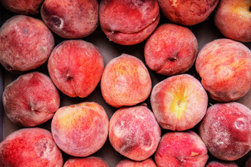 Fresh Harvest Peaches