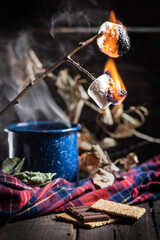 marshmallows on fire on stick with hot chocolate