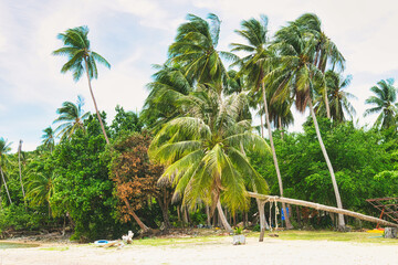 KOH SAMUI, THAILAND - SEPTEMBER 04,2023: Beautiful beach. View of nice tropical beach with white sand ,blue sea and blue sky. Holiday and vacation concept. Tropical beach Chaweng Noi beach, Samui.