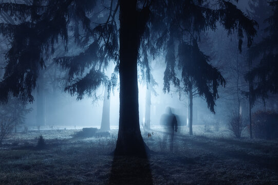 A strange silhouette in a dark spooky forest at night. Human silhouette in surreal spooky forest at night, halloween horror concept. Fog in the moonlight.	