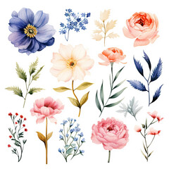 Floral elements collection, watercolor flower set (Generative Ai)
