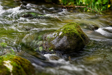 Omszały kamień opływany przez rwącą rzekę.