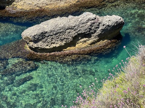 Rocks in the sea water and wild flowers allium on the shore.