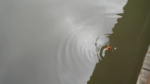 fishing in the pond, got small catfish