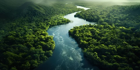 Foto op Aluminium Generative AI, green beautiful amazonian jungle landscape with trees and river, drone view © DELstudio