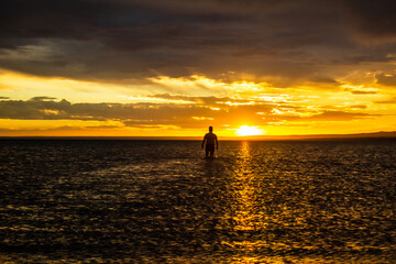 paisaje / silueta / atardecer