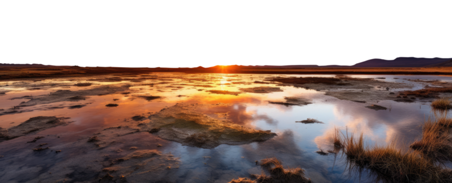 sunset over the river. transparent PNG background. Flooded rural landscape. Everglades, Okefenokee Swamp, Dismal Swamp
