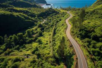 Drone View Over Jungle Road 