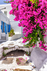 Mykonos, Greece - July 21, 2023: Colorful buildings and flowers in the labyrinthine streets of Mykonos Greece
 - obrazy, fototapety, plakaty