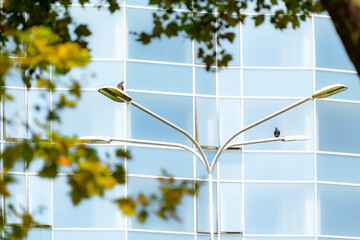 Large blue windows of a modern building