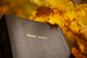 Classic bible with autumn leaves. Bible in autumn