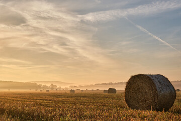 Harvested field in autumn with fog
