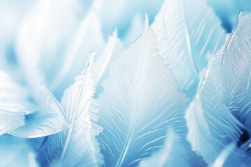 Fototapeta na wymiar Winter Frosted Leaves Background in Blue Tones