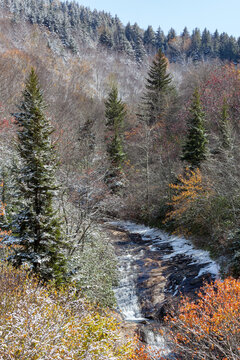 Frosty Autumn Scene in Pisgah National Forest in North Carolina