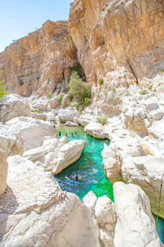View of the Wadi Bani Khalid oasis in the desert in Sultanate of Oman.