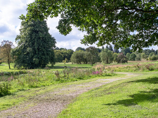 Fototapeta na wymiar Footpath through the Yorkshire Arboretum, North Yorkshire, England