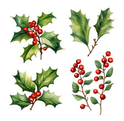 Fototapeta na wymiar Christmas evergreen branch, holly leaves isolated on white background. Watercolor set.