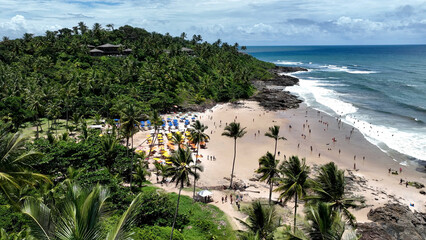 Tiririca Beach At Itacare In Bahia Brazil. Tourism Landscape. Nature Background. Travel Scenery. Vacation Destination. Stunning Scene. Tiririca Beach At Itacare In Bahia Brazil. 