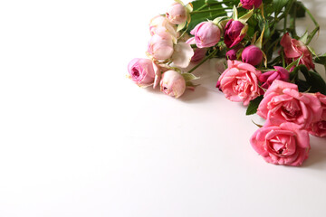 白背景のピンクの薔薇の花束