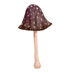 Toadstool mushroom. Vector graphics.