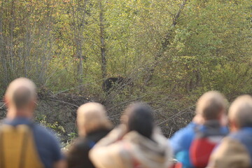 Bear Watching River Raft Tour