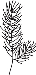 Fir Tree Branch Silhouette