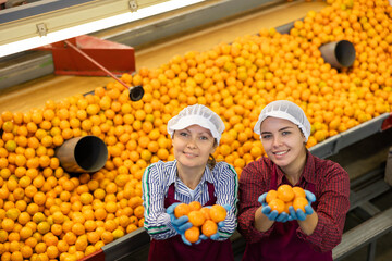 High angle view of two happy female workers of citrus sorting factory standing near grading...