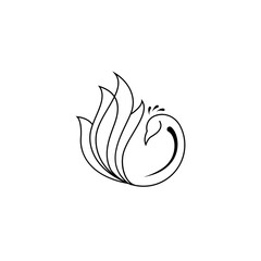 Peacock line art logo design