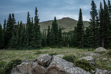 Fototapeta na wymiar Stormy Peaks Trail Cuts Through Meadow In Remote Rocky Mountain Wilderness