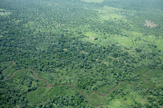 aerial view of the tropical wilderness of South Sudan