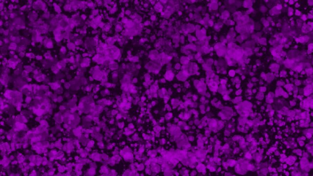 An abstract purple spray paint grunge texture motion graphic background.