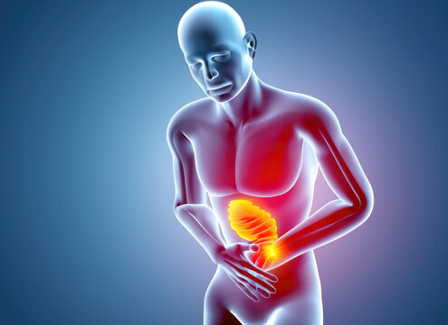 stomach pain colic bowel flatulence anatomy hologram alimentary fiber spasmodic digestive trouble illustration