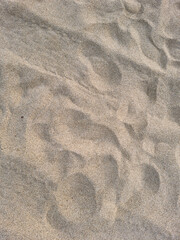 
A close-up of the sand on the beach. 