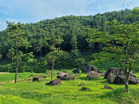 This is a dolmen park in Jeolla-do, South Korea.
