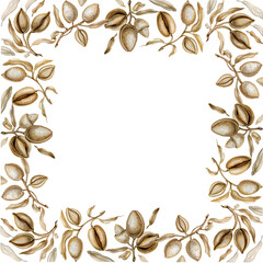 Square frame with dry almond branches, nut shell, leaves. Hand drawn decorative design element. Isolated on white. 