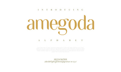 Amegoda premium luxury elegant alphabet letters and numbers. Elegant wedding typography classic serif font decorative vintage retro. Creative vector illustration