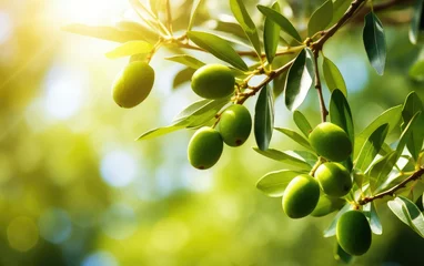Foto op Plexiglas Olive border design.Food background with olive branch. Olive oil. © AndErsoN