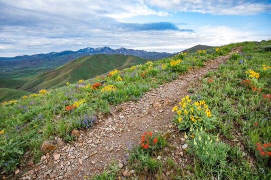 USA, Idaho, Hailey, Hiking trail on Carbonate Mountain