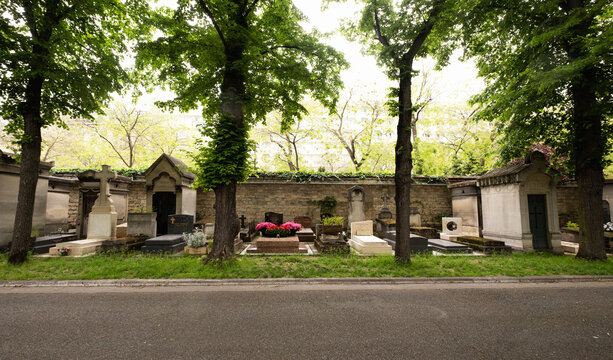 France, Paris, Trees along tombstones in&nbsp;cemetery