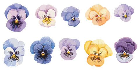 watercolor pansy clipart for graphic resources - obrazy, fototapety, plakaty