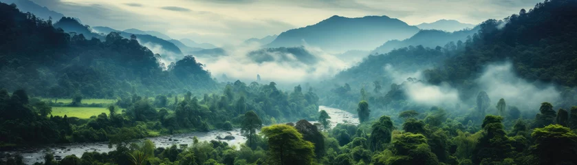 Foto op Plexiglas Mistige ochtendstond Jungle, tropical forest, morning fog, top view.