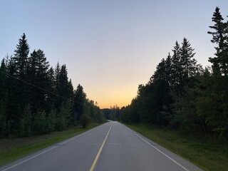 Grande Prairie, Alberta, Canada, road to the trees