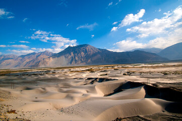 Sand dunes in Nubra valley in Himalayas. Hunder, Nubra valley, Ladakh